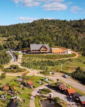 Olivas de Gramado, em Gramado