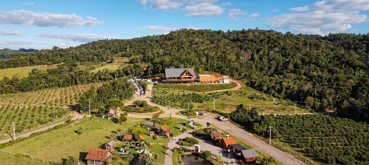 Olivas de Gramado, em Gramado